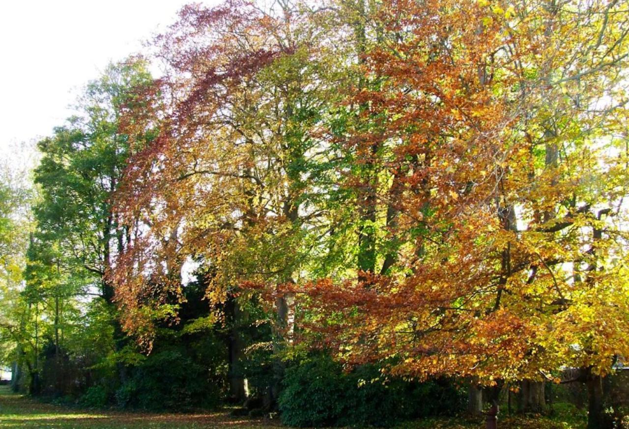 Maison Charmante A Ryes Avec Jardin Clos Et Acces Pmr ภายนอก รูปภาพ
